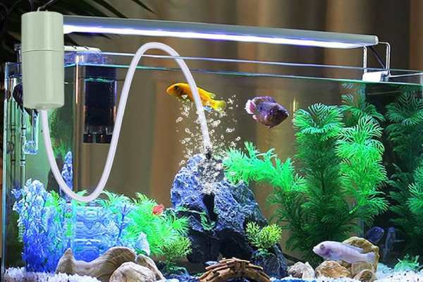 What are the Benefits of Air Pump in Fish Tanks?