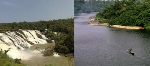 Niger River Biotope